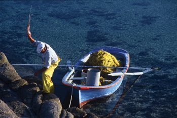 Περί Ορέξεως