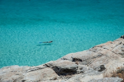 &Tau;&omicron; &Nu;&eta;&sigma;ί