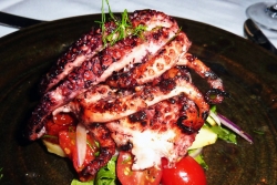 &Phi;&theta;&iota;&nu;ό&pi;&omega;&rho;&omicron;