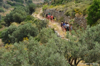 Strada Bizantina