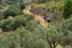 &Beta;&upsilon;&zeta;&alpha;&nu;&tau;&iota;&nu;ό &mu;&omicron;&nu;&omicron;&pi;ά&tau;&iota;