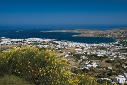 &Pi;&alpha;&rho;&omicron;&iota;&kappa;ί&alpha;