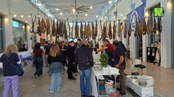 &Eta; &Pi;ά&rho;&omicron;&sigmaf; &gamma;&iota;ό&rho;&tau;&alpha;&sigma;&epsilon; &tau;&alpha; &laquo;&Pi;&alpha;&sigma;&tau;ά&raquo; &tau;&eta;&sigmaf; &kappa;&alpha;&iota; &tau;&iota;&sigmaf; &rho;ί&zeta;&epsilon;&sigmaf; &tau;&eta;&sigmaf; &sigma;&tau;&eta;&nu; &kappa;&alpha;&rho;&delta;&iota;ά &tau;&eta;&sigmaf; &Alpha;&theta;ή&nu;&alpha;&sigmaf;
