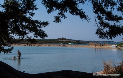 &Gamma;ύ&rho;&omega; &alpha;&pi;ό &tau;&eta; &Nu;ά&omicron;&upsilon;&sigma;&alpha;