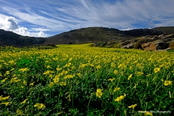 Parikia - Kalami - Kamares Parou - Kamares Naoussas - Nasousa - Xifara - Santa Maria - Ampelas